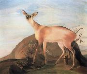 Kosztka, Tivadar Csontvry Deer oil painting reproduction